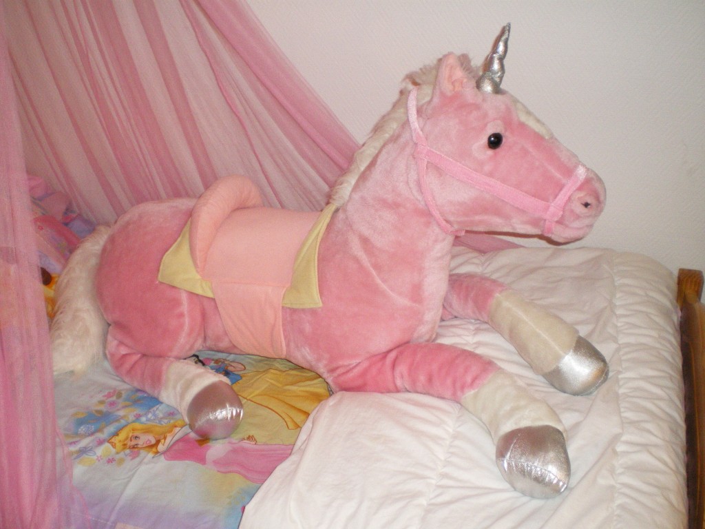 Ma merveilleuse licorne